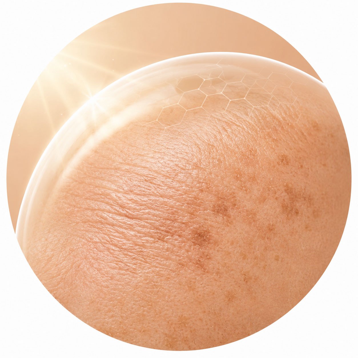 Sun Protection & Anti-Aging